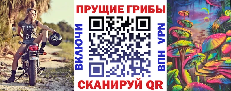 Псилоцибиновые грибы Psilocybe дарнет шоп Мариинский Посад